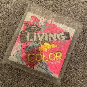 Living in Color Make Up Pallet!